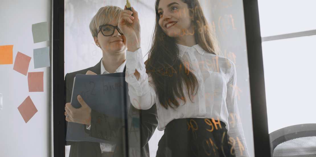 Auto generated site professional translator