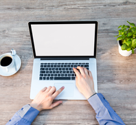 Auto generated site professional translator