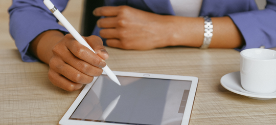 Auto generated site professional translator