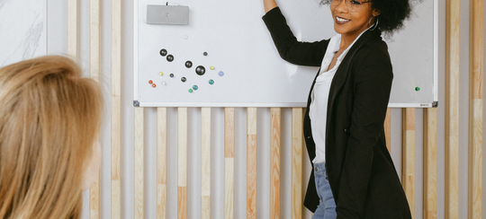 Auto generated site professional translator