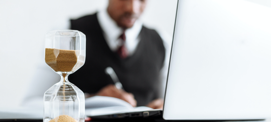 Auto generated site professional translator