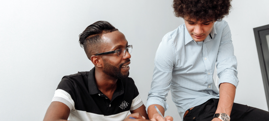 Auto generated site professional translator